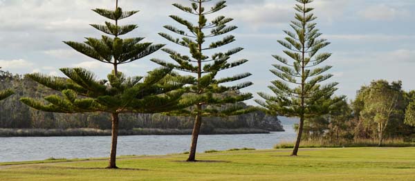 Location Shot - Tuggerah Lake