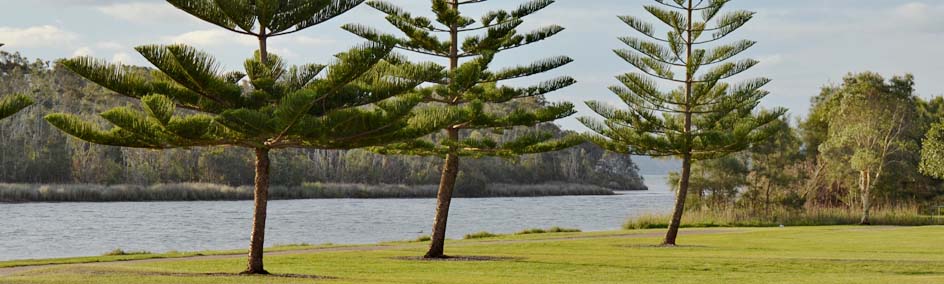 Location Shot - Tuggerah Lake